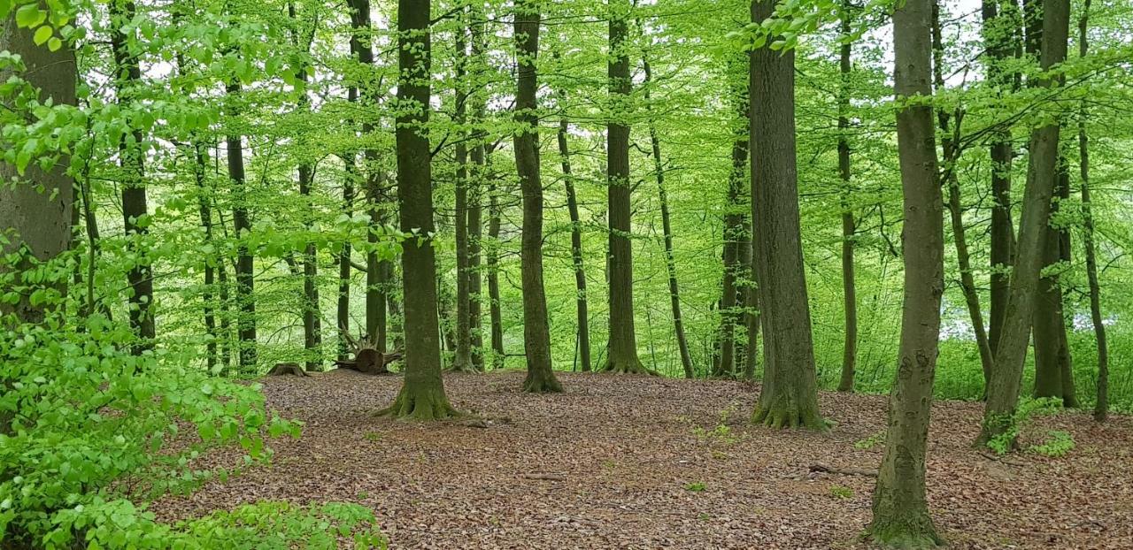 Ferienhaus Heide Bad Fallingbostel Esterno foto